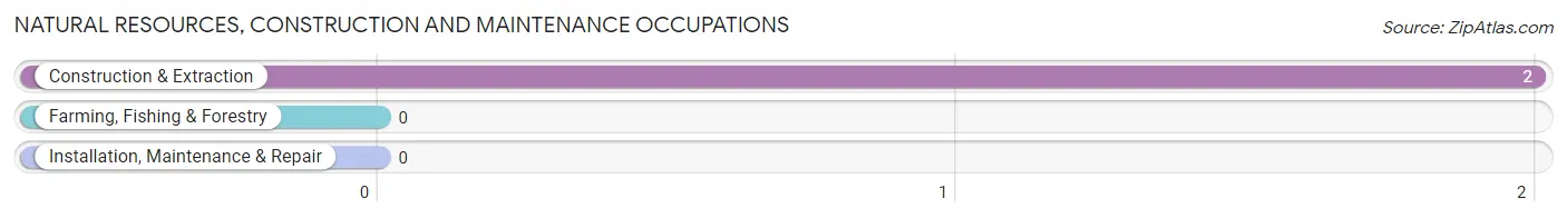 Natural Resources, Construction and Maintenance Occupations in Blanchard