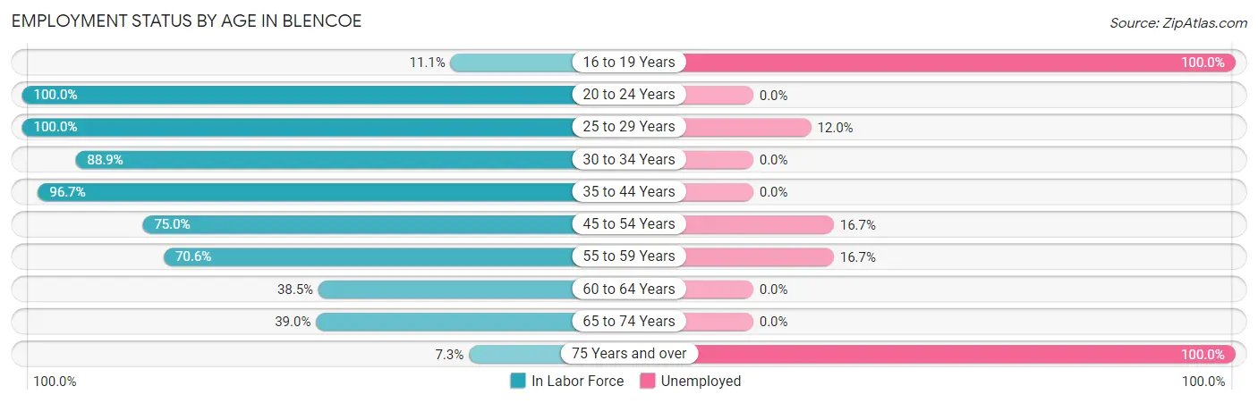Employment Status by Age in Blencoe