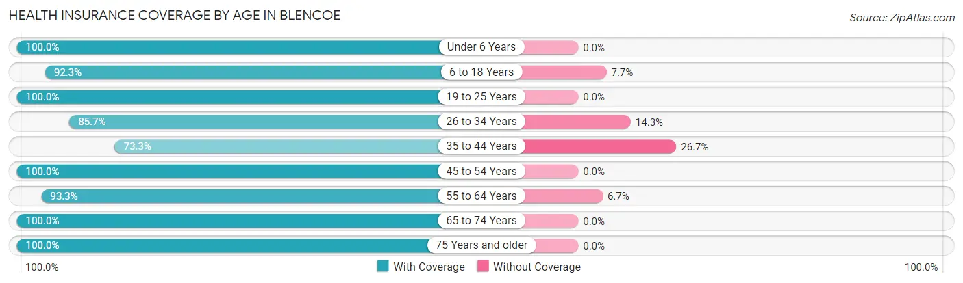 Health Insurance Coverage by Age in Blencoe