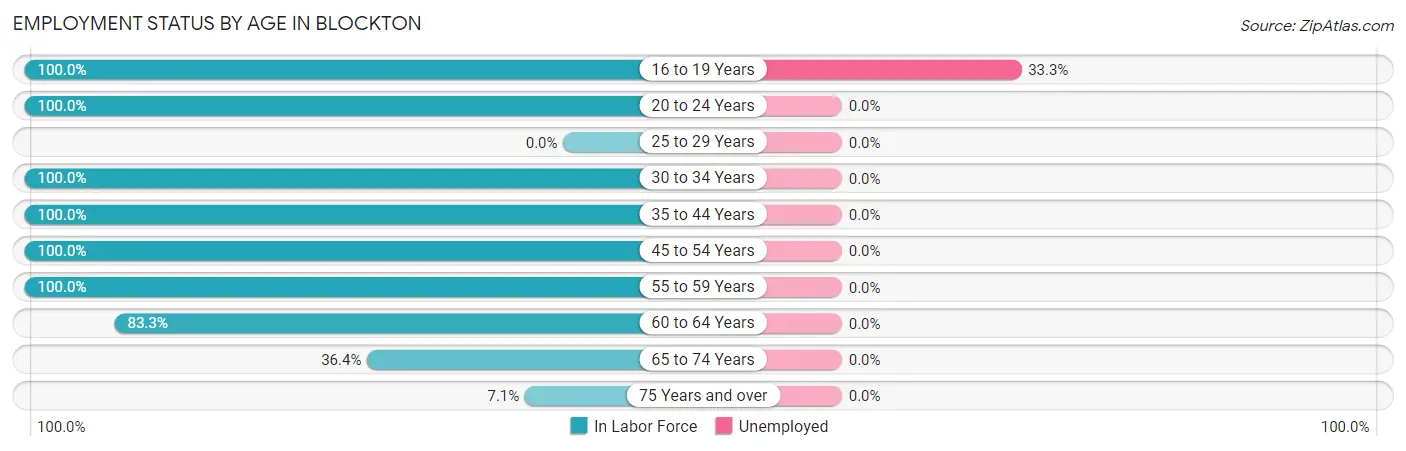 Employment Status by Age in Blockton