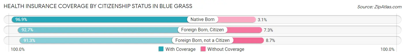 Health Insurance Coverage by Citizenship Status in Blue Grass