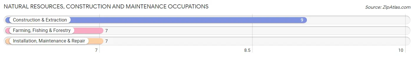 Natural Resources, Construction and Maintenance Occupations in Bonaparte