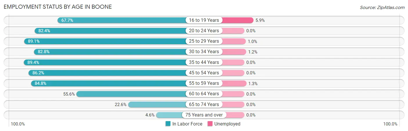 Employment Status by Age in Boone