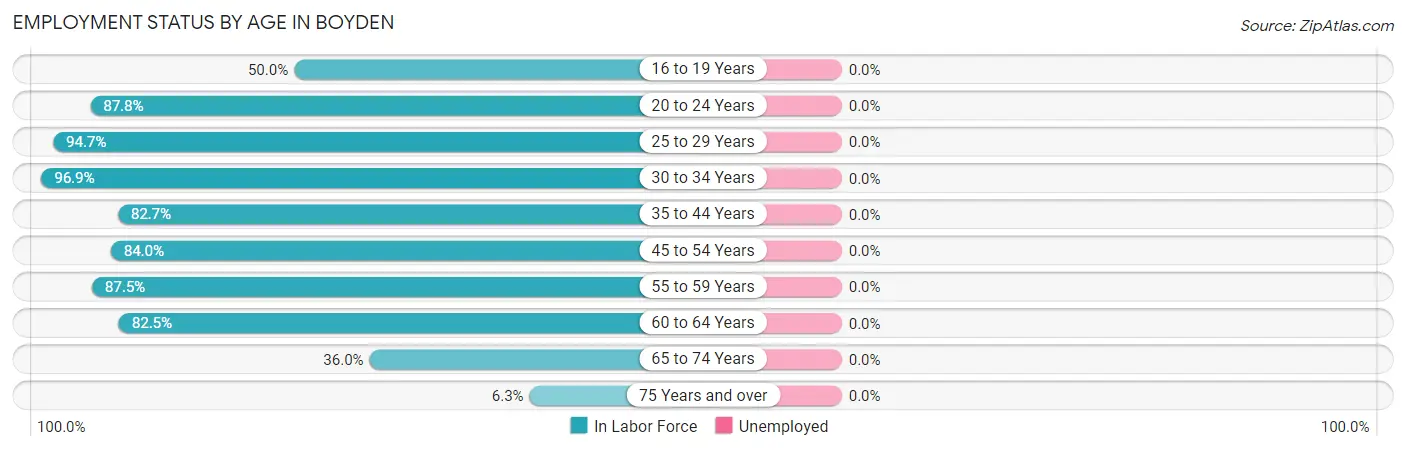 Employment Status by Age in Boyden