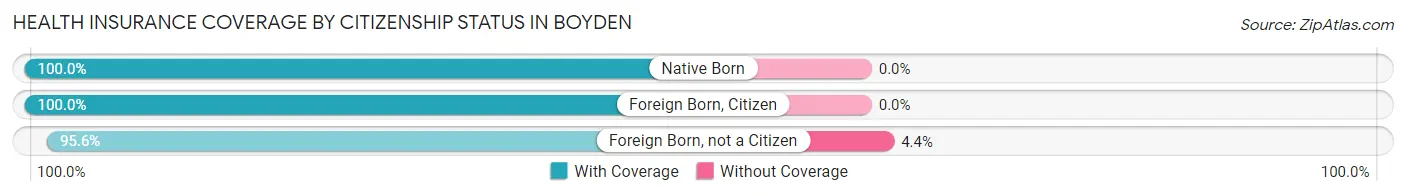 Health Insurance Coverage by Citizenship Status in Boyden