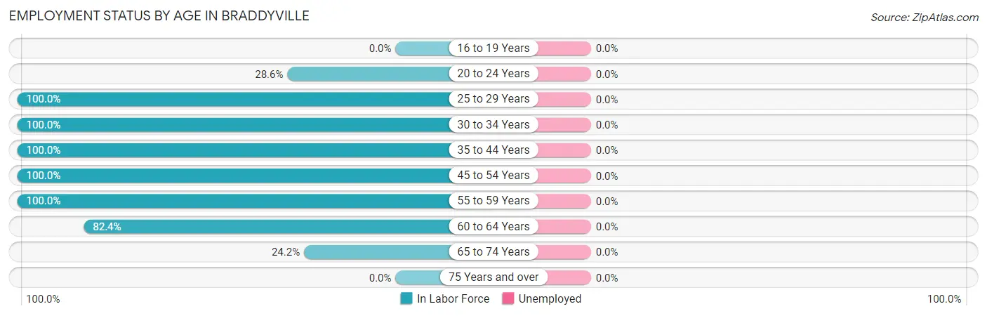 Employment Status by Age in Braddyville