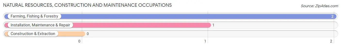 Natural Resources, Construction and Maintenance Occupations in Braddyville