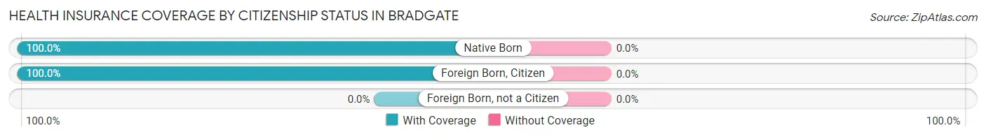 Health Insurance Coverage by Citizenship Status in Bradgate