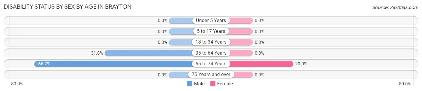 Disability Status by Sex by Age in Brayton