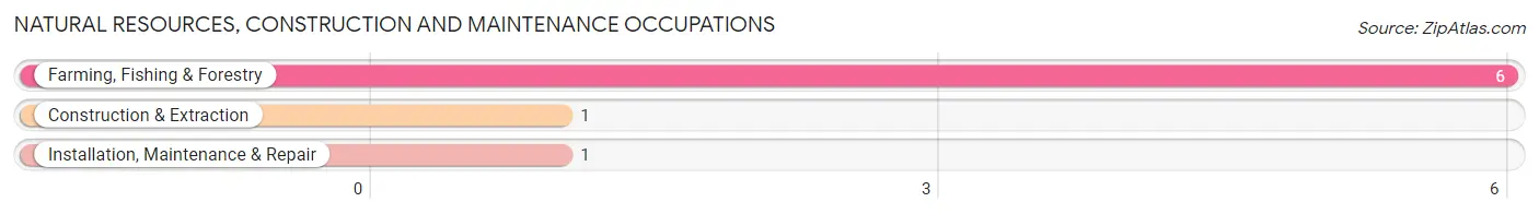 Natural Resources, Construction and Maintenance Occupations in Brayton