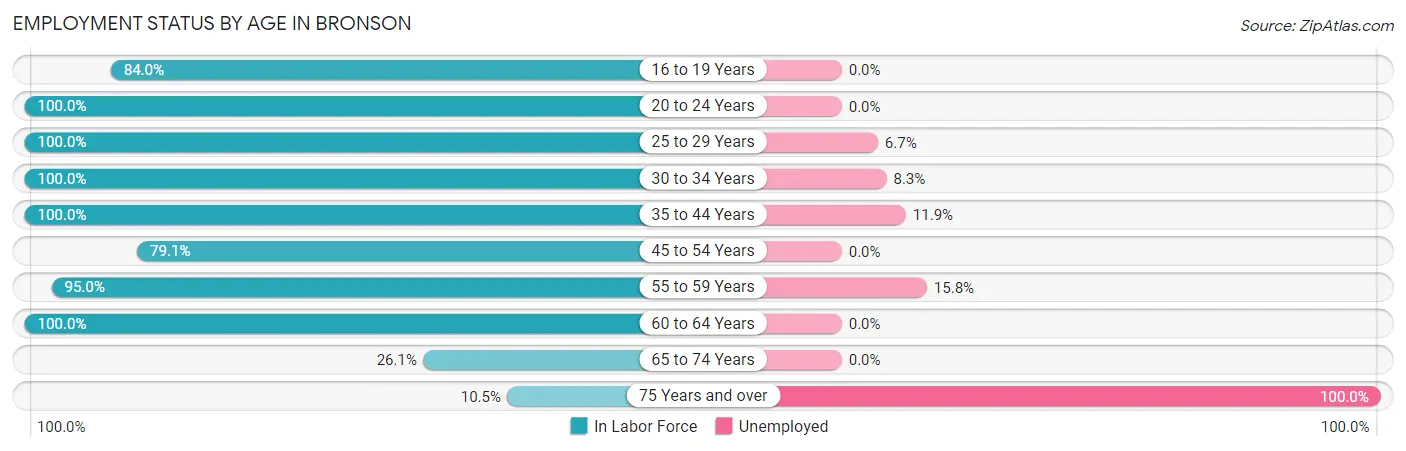 Employment Status by Age in Bronson