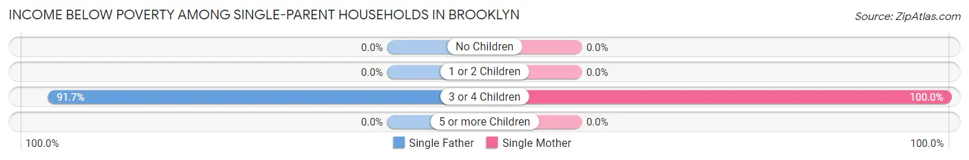 Income Below Poverty Among Single-Parent Households in Brooklyn
