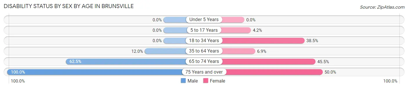 Disability Status by Sex by Age in Brunsville