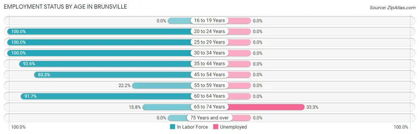 Employment Status by Age in Brunsville