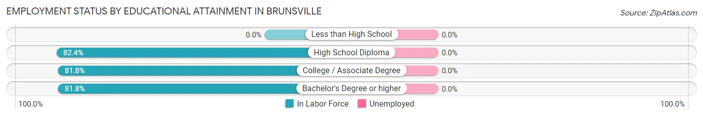 Employment Status by Educational Attainment in Brunsville