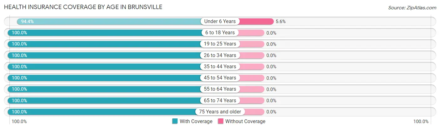Health Insurance Coverage by Age in Brunsville