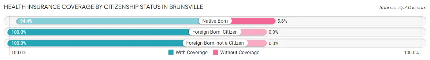 Health Insurance Coverage by Citizenship Status in Brunsville