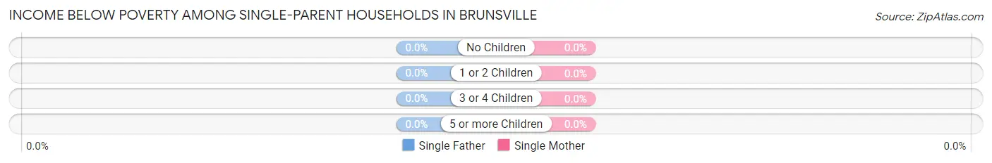 Income Below Poverty Among Single-Parent Households in Brunsville