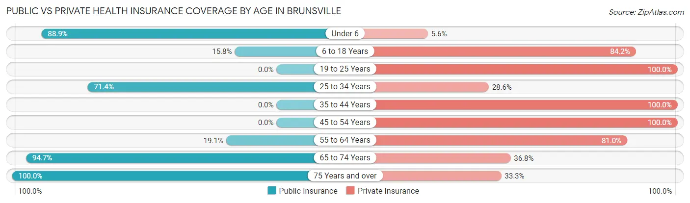 Public vs Private Health Insurance Coverage by Age in Brunsville