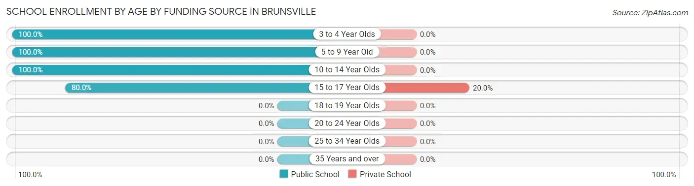 School Enrollment by Age by Funding Source in Brunsville