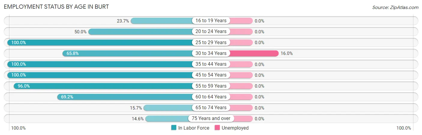 Employment Status by Age in Burt