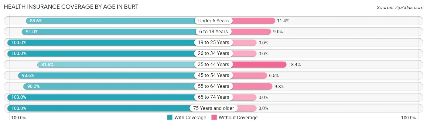 Health Insurance Coverage by Age in Burt
