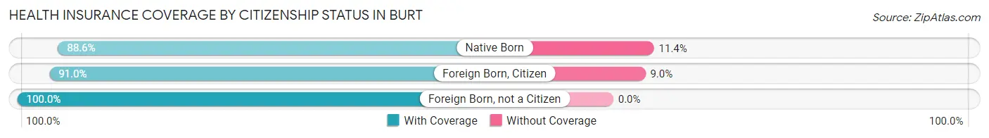 Health Insurance Coverage by Citizenship Status in Burt