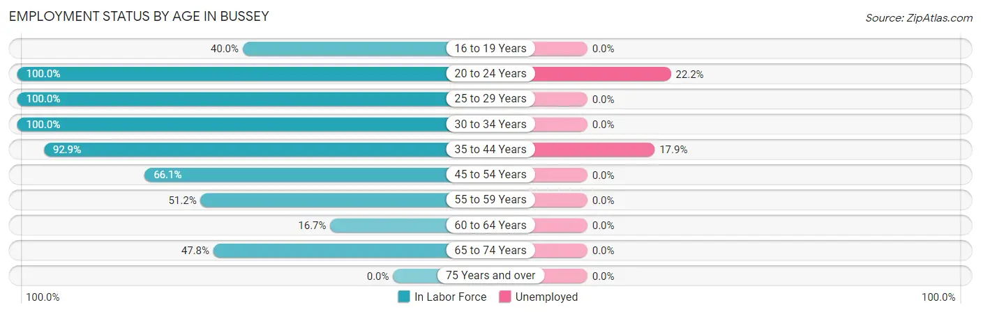 Employment Status by Age in Bussey