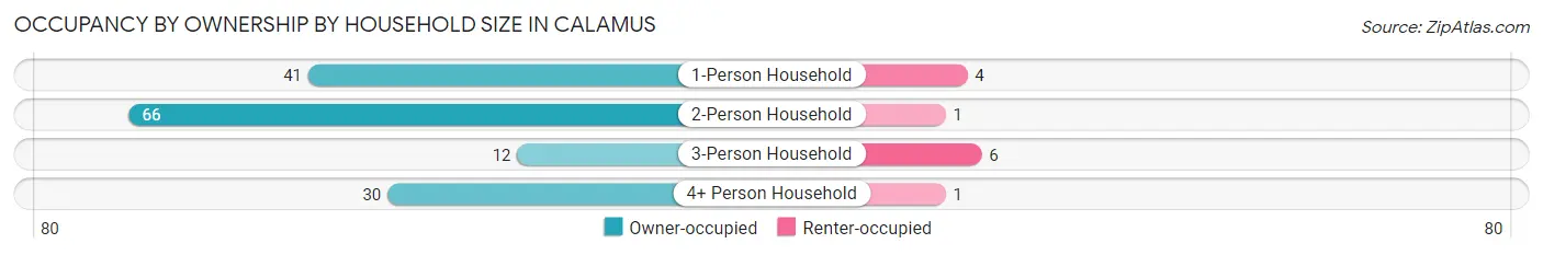 Occupancy by Ownership by Household Size in Calamus
