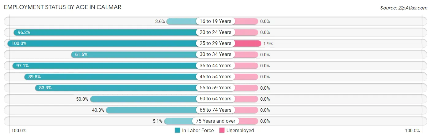 Employment Status by Age in Calmar