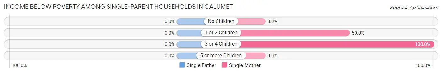 Income Below Poverty Among Single-Parent Households in Calumet