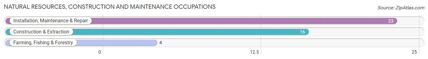 Natural Resources, Construction and Maintenance Occupations in Cambridge