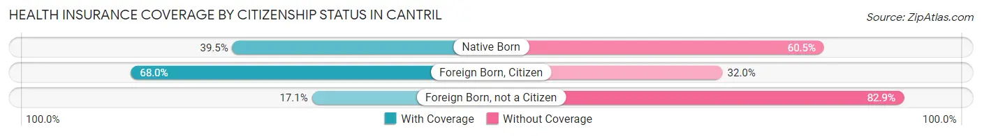 Health Insurance Coverage by Citizenship Status in Cantril