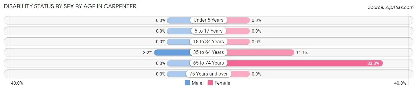 Disability Status by Sex by Age in Carpenter