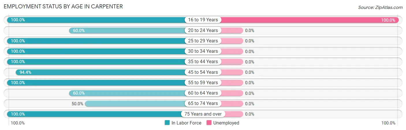 Employment Status by Age in Carpenter