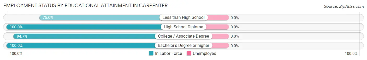 Employment Status by Educational Attainment in Carpenter