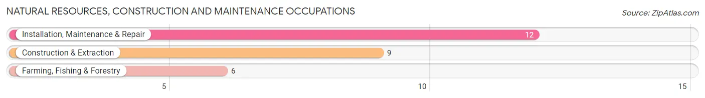 Natural Resources, Construction and Maintenance Occupations in Casey