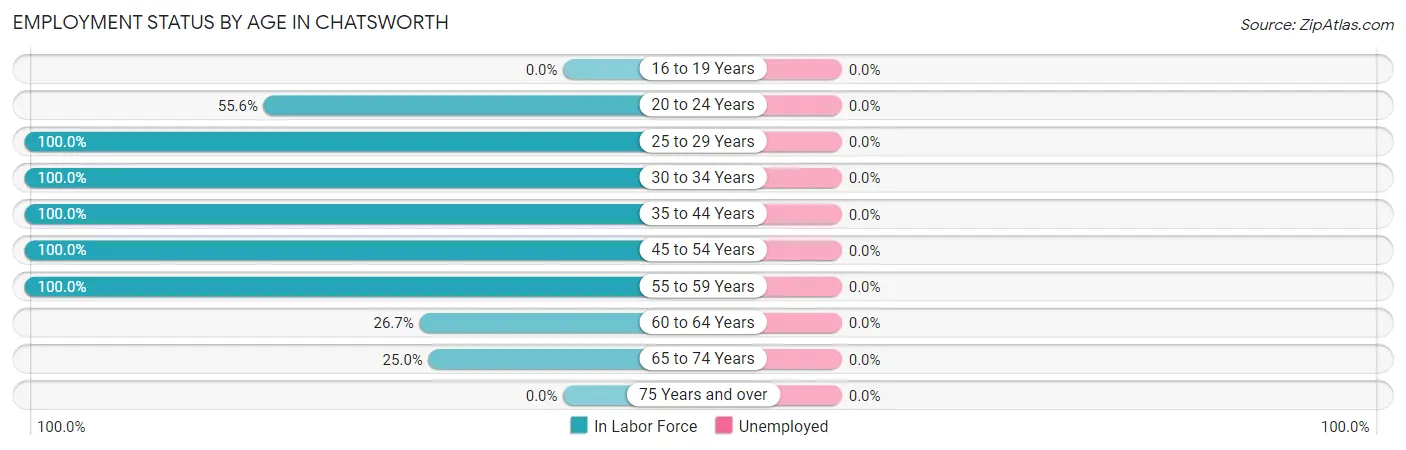 Employment Status by Age in Chatsworth