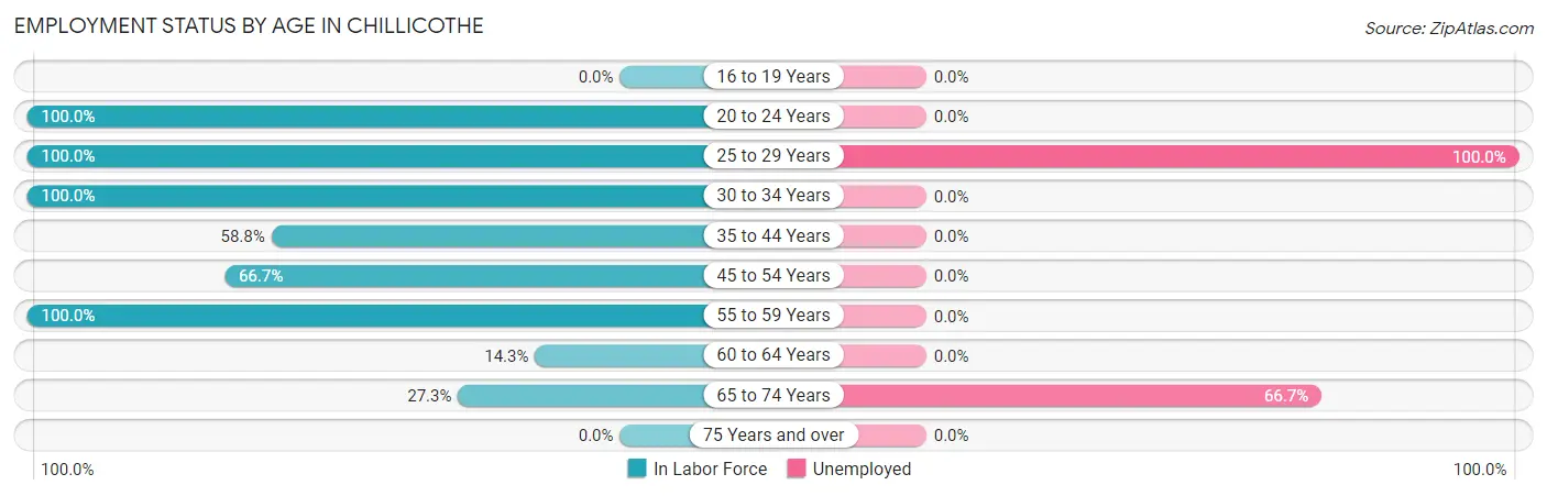 Employment Status by Age in Chillicothe