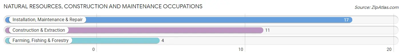 Natural Resources, Construction and Maintenance Occupations in Churdan