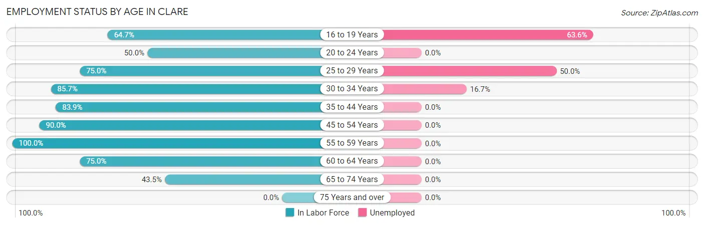 Employment Status by Age in Clare