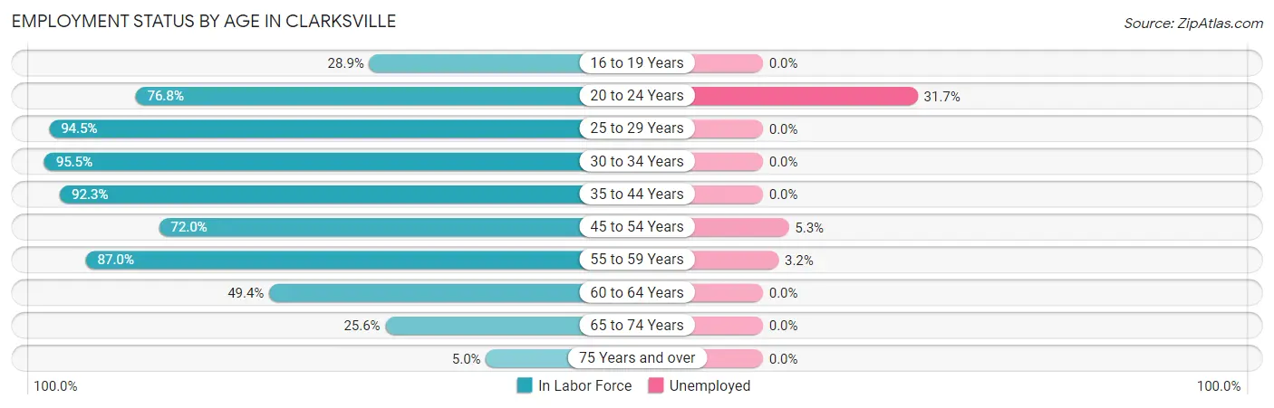 Employment Status by Age in Clarksville