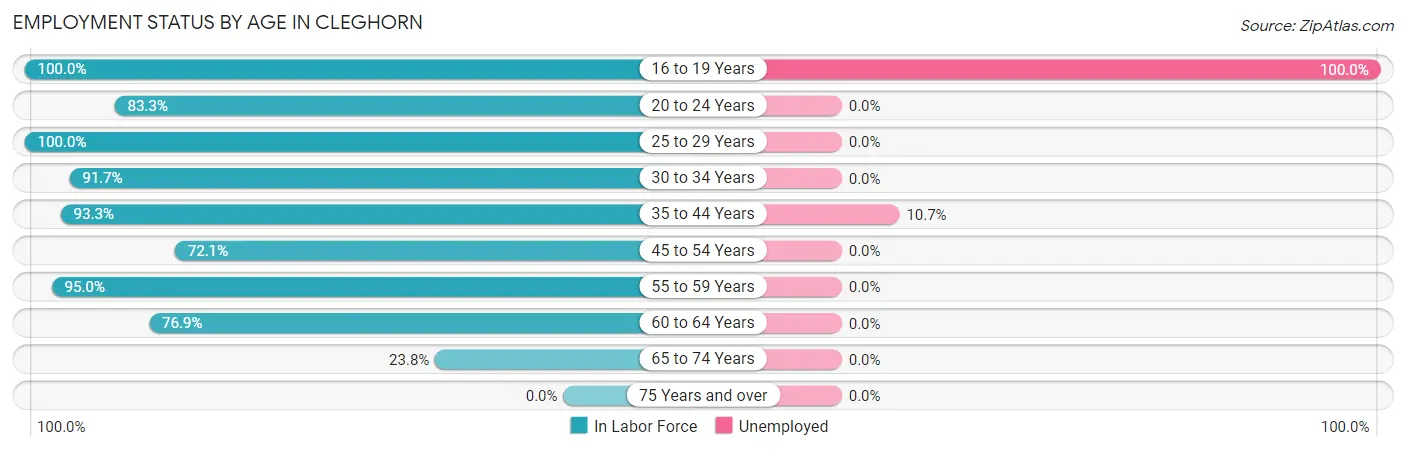 Employment Status by Age in Cleghorn