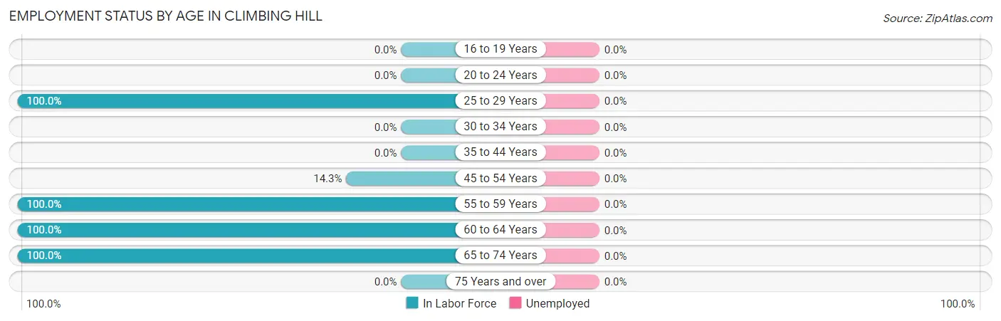Employment Status by Age in Climbing Hill