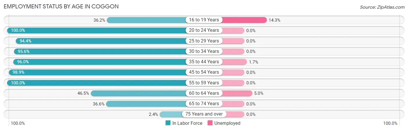 Employment Status by Age in Coggon