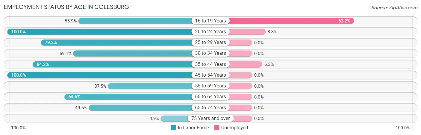 Employment Status by Age in Colesburg