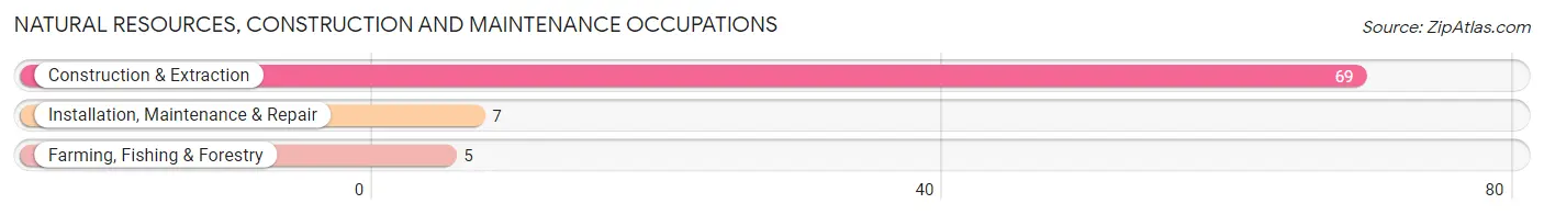 Natural Resources, Construction and Maintenance Occupations in Colesburg