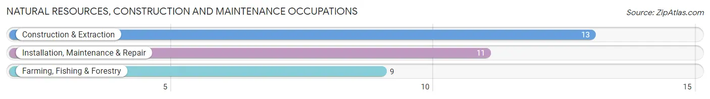 Natural Resources, Construction and Maintenance Occupations in Columbus City