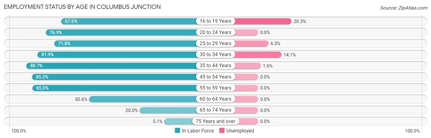 Employment Status by Age in Columbus Junction