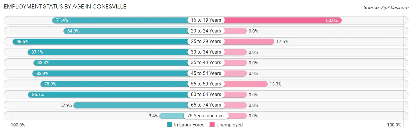Employment Status by Age in Conesville